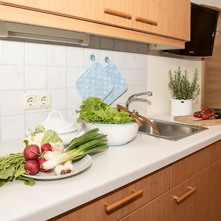 Appartement-pension Fahrnberggut דירה ראוריס