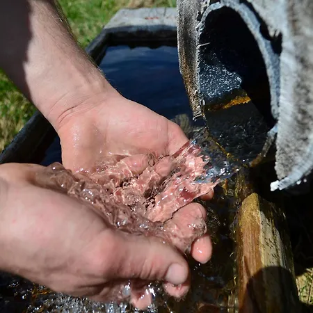 Apartamento Appartement-pension Fahrnberggut Rauris