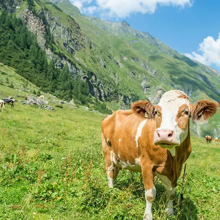 Apartamento Appartement-pension Fahrnberggut Rauris