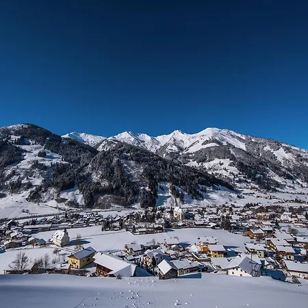 Appartement-pension Fahrnberggut Διαμέρισμα *