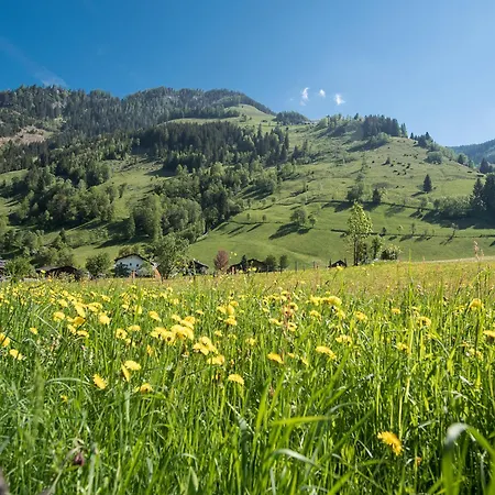 Appartement-pension Fahrnberggut Διαμέρισμα *