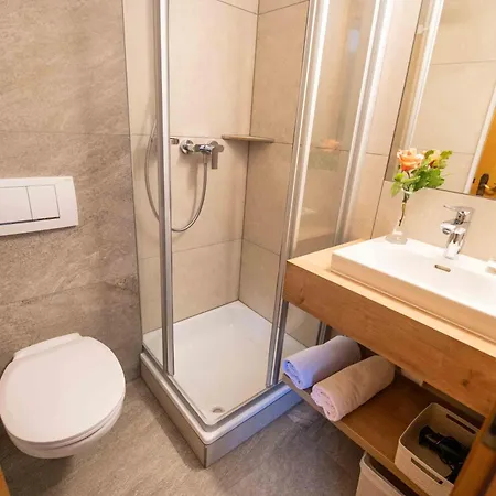 Apartament Appartement-pension Fahrnberggut