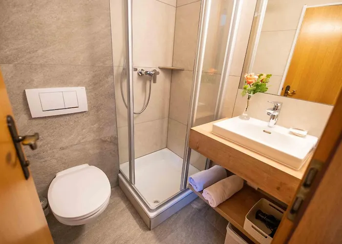 Appartement Appartement-pension Fahrnberggut